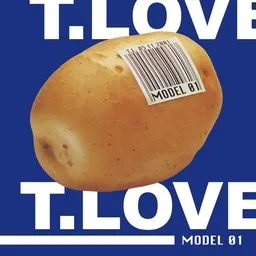 Cover art for Nie nie nie - T.Love karaoke version