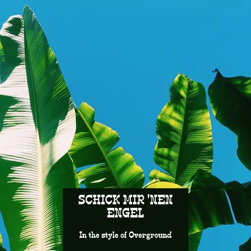 Karaoke Schick mir 'nen Engel by Overground — sing along with lyrics on Singa