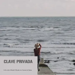 Cover art for Clave Privada - Banda El Recodo,Los Tucanes de Tijuana karaoke version