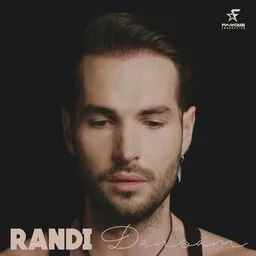 Cover art for Dansam - Randi karaoke version