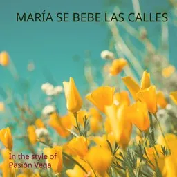 Pasión Vega - Karaoke