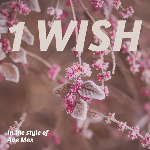 Karaoke 1 Wish by Ava Max — sing along with lyrics on Singa