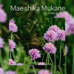 Cover art for Mae shika Mukane - AKB48 karaoke version