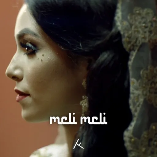 Karaoke Meli Meli by Ali B, Numidia, Ronnie Flex — sing along with lyrics on Singa