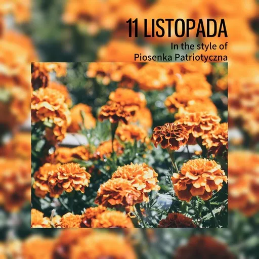11 listopada - Karaoke