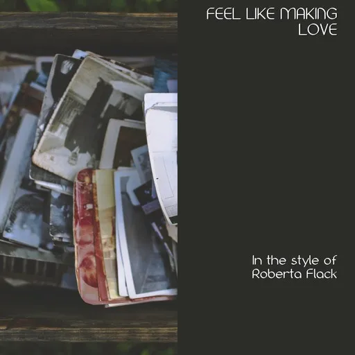 Feel Like Making Love - Karaoke