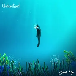 Karaokekappaleen Understand - Omah Lay kansikuva