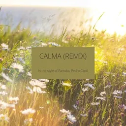 Titelbild für Calma (Remix) - Farruko,Pedro Capó Karaoke-Version