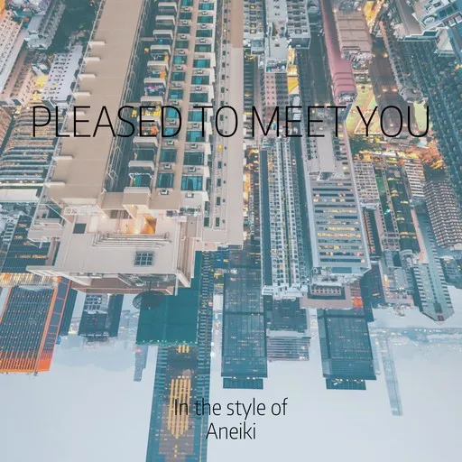 Pleased to Meet You - Karaoke