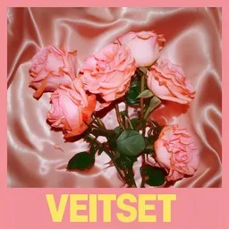 Omslagsbild för Veitset - Ellinoora karaokeversion