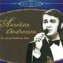 Omslagsbild för Copacul - Aurelian Andreescu karaokeversion