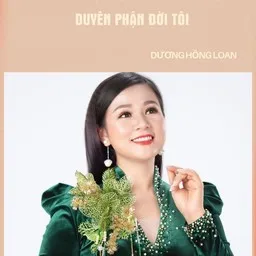 Dương Hồng Loan - Karaoke