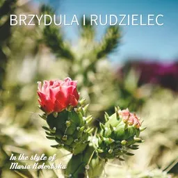 Cover art for Brzydula i rudzielec - Maria Koterbska karaoke version