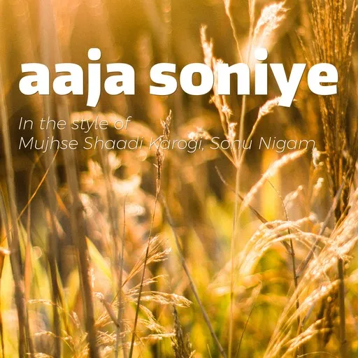 Karaoke Aaja Soniye by Mujhse Shaadi Karogi, Sonu Nigam — sing along with lyrics on Singa