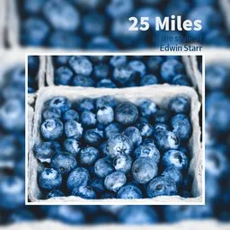 Cover art for 25 Miles - Edwin Starr karaoke version