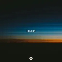 Cover art for Hold On - Gaullin,NOËP,NOTSOBAD,So Damn Easy karaoke version