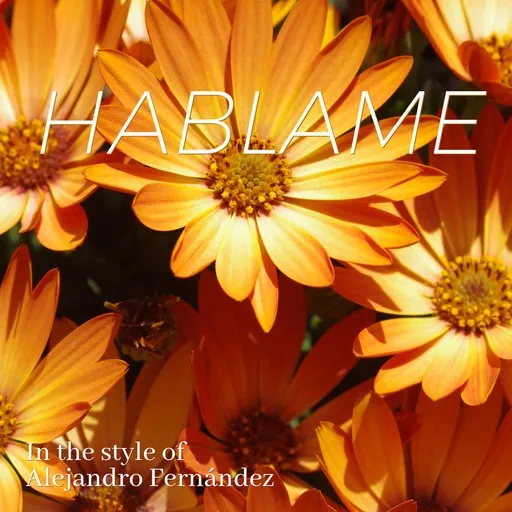 Hablame - Karaoke