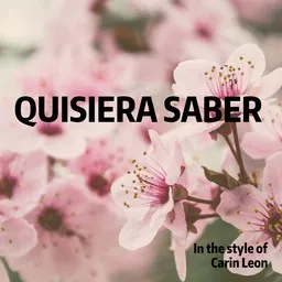 Omslagsbild för Quisiera Saber - Carin Leon karaokeversion