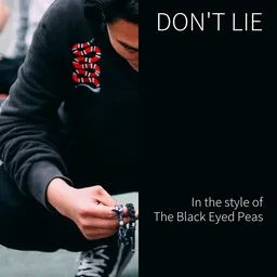 Omslagsbild för Don't Lie - Black Eyed Peas karaokeversion