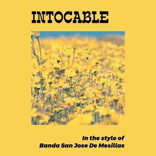 Karaoke Intocable von Banda San Jose De Mesillas — mit Songtext mitsingen auf Singa