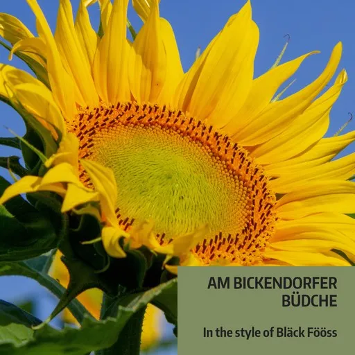 Am Bickendorfer Büdche - Karaoke