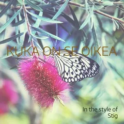 Cover art for Kuka on se oikea - Stig karaoke version