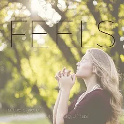Cover art for Feels - Ed Sheeran,J Hus,Young Thug karaoke version