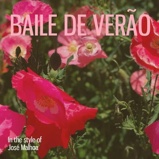 Baile de Verão - Karaoke