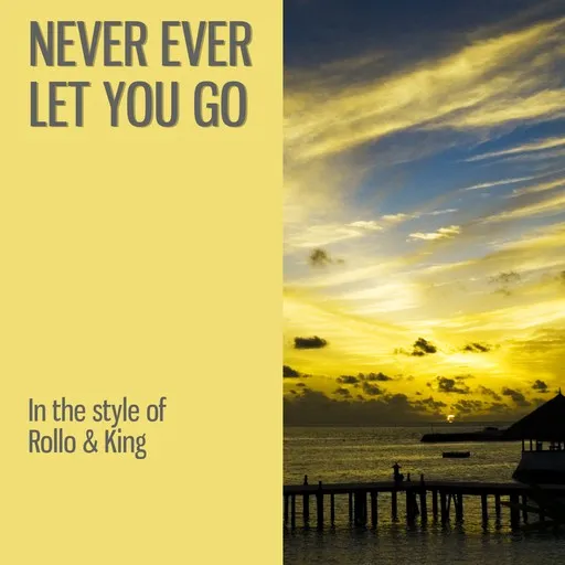 Karaoke Never Ever Let You Go esittäjältä Rollo & King — laula mukana sanoituksilla Singassa