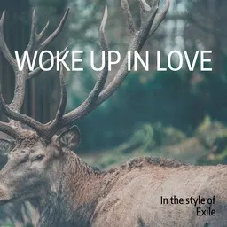 Omslagsbild för Woke Up In Love - Exile karaokeversion