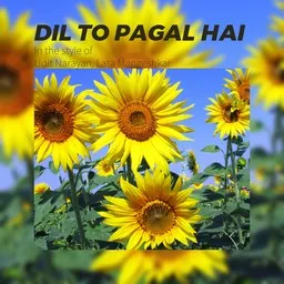 Cover art for Dil To Pagal Hai - Lata Mangeshkar,Udit Narayan karaoke version