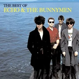 Echo & The Bunnymen - Karaoke