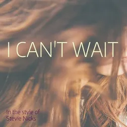 Karaokekappaleen I Can't Wait - Stevie Nicks kansikuva