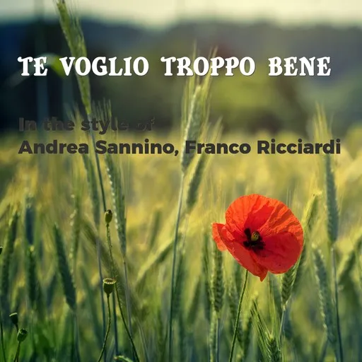 Te voglio troppo bene - Karaoke