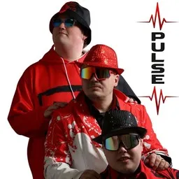 Cover art for Pulse