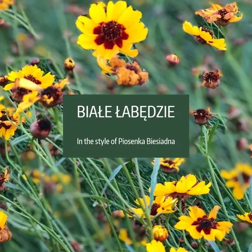 Karaoke Białe Łabędzie by Piosenka Biesiadna — sing along with lyrics on Singa