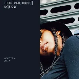 Cover art for Chciałbym Ci oddać moje sny - Drossel karaoke version