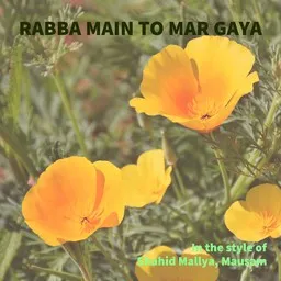 Cover art for Rabba Main To Mar Gaya - Mausam,Shahid Mallya karaoke version
