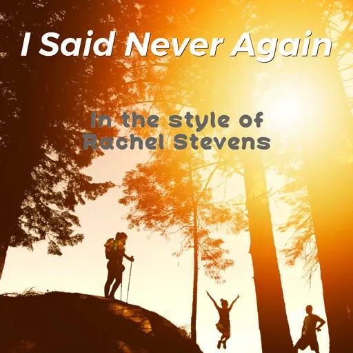 I Said Never Again - Karaoke
