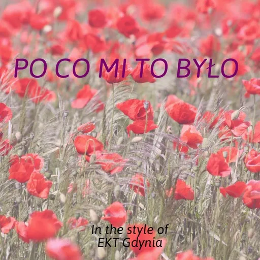 Po co mi to było - Karaoke