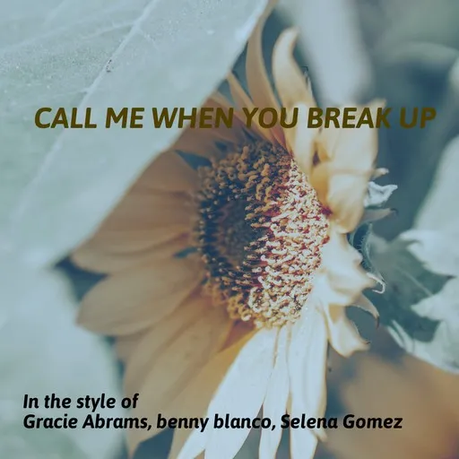 Karaoke Call Me When You Break Up av Benny Blanco, Gracie Abrams, Selena Gomez — sjung med på texten på Singa