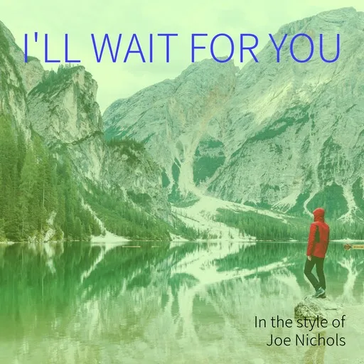 I'll Wait For You - Karaoke