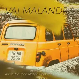 Cover art for Vai Malandra - Anitta,DJ Yuri Martins,Maejor,Mc Zaac,Tropkillaz karaoke version