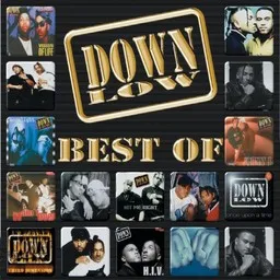 Cover art for Down Low