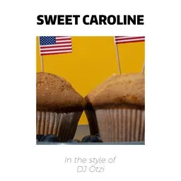 Cover art for Sweet Caroline - DJ Ötzi karaoke version