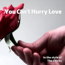 Titelbild für You Can't Hurry Love - The Chicks Karaoke-Version