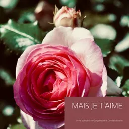 Artistin Grand Corps Malade & Camille Lellouche kansikuva