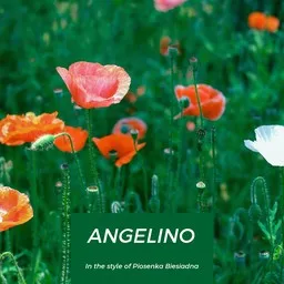 Titelbild für Angelino - Piosenka Biesiadna Karaoke-Version