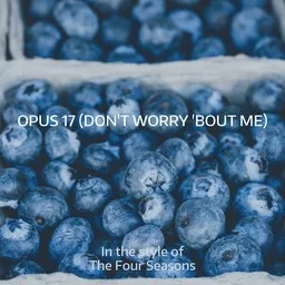 Cover art for Opus 17 (Don't Worry 'Bout Me) - The Four Seasons karaoke version