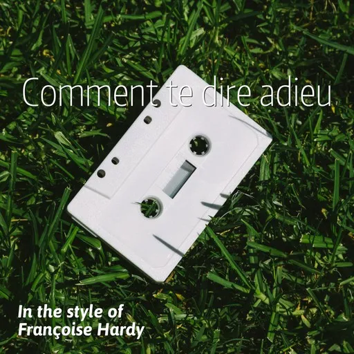 Comment te dire adieu - Karaoke